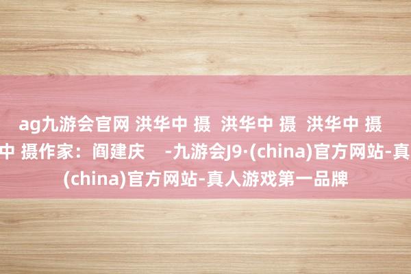 ag九游会官网 洪华中 摄  洪华中 摄  洪华中 摄  洪华中 摄  洪华中 摄作家：阎建庆    -九游会J9·(china)官方网站-真人游戏第一品牌