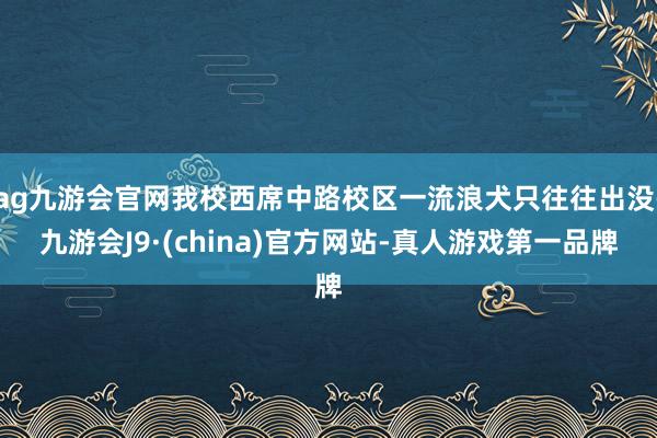 ag九游会官网我校西席中路校区一流浪犬只往往出没-九游会J9·(china)官方网站-真人游戏第一品牌